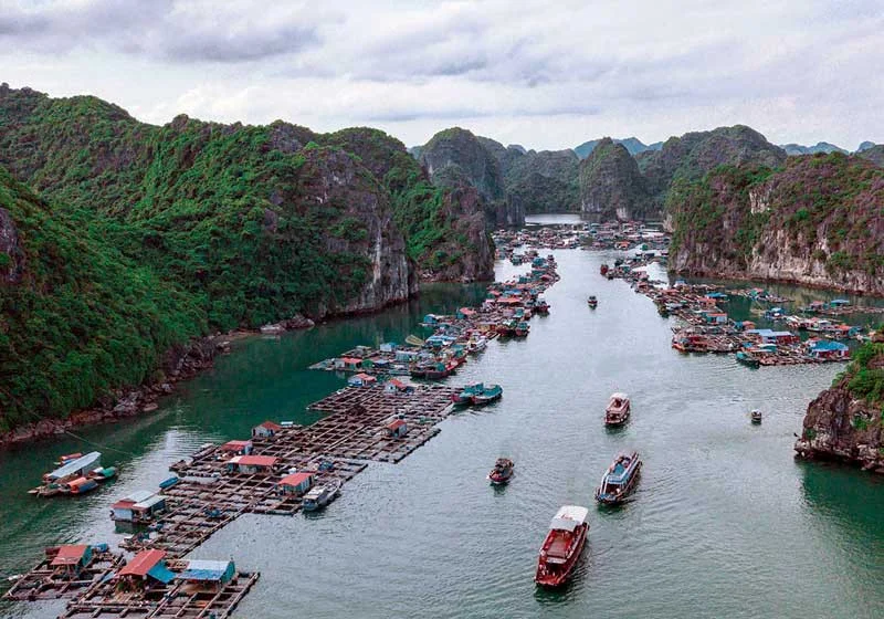 Fishing village in Lan Ha Bay