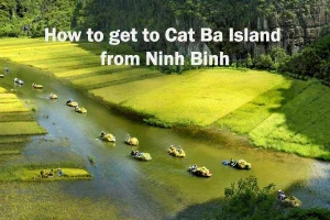 How to get to Cat Ba Island from Ninh Binh