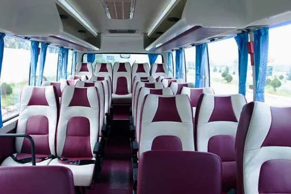 Tourist bus hanoi to cat ba
