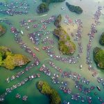 Things to do in cat ba